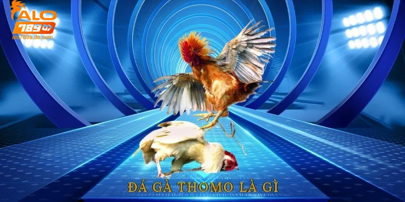 Đá gà thomo – Nền tảng uy tín cho trải nghiệm đá gà hấp dẫn 7 Khái niệm và nguồn gốc đá gà thomo
