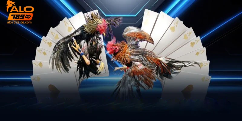 cach-tham-gia-va-dang-ky-choi-da-ga-alo789 Cách tham gia và đăng ký chơi đá gà Alo789