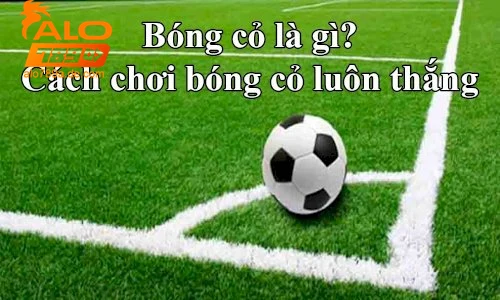 huong-dan-tham-gia-bong-co-an-toan-va-hieu-qua Bóng cỏ là gì - Hướng dẫn tham gia bóng cỏ an toàn và hiệu quả