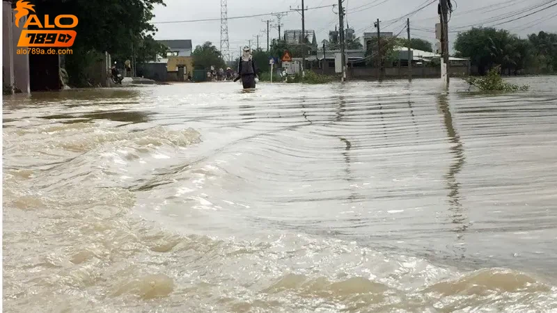 tham-khao-tin-tuc-moi-nhat-ve-ca-cuoc-va-giac-mo Tham khảo tin tức mới nhất về cá cược và giấc mơ